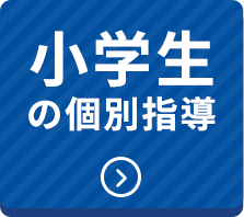 小学生の個別指導