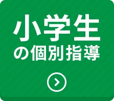 小学生の個別指導